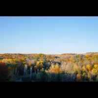 Baumwipfel im Herbst foto