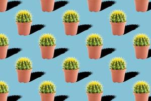 nahtloses Muster mit Kaktus auf blauem Hintergrund foto