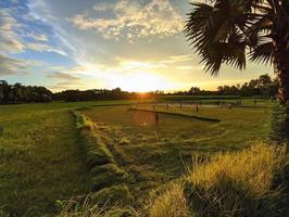 während des Sonnenuntergangs Dorf in Bangladesch. Nachmittagssonne, die auf Land und Bäume fällt. foto