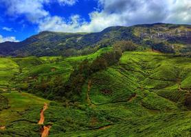 Bergketten in Indien mit Teeplantagen foto