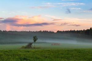 Lettische Sommerlandschaften foto