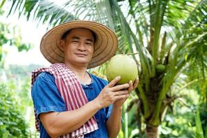 Der glückliche asiatische Gärtner hält Bio-Kokosnussfrüchte in seinem Garten. Konzept, landwirtschaftliche Ernte in Thailand. Thailändische Bauern bauen Kokosnüsse Maprownamhom an, um sie zu verkaufen. Sommerfrüchte. foto