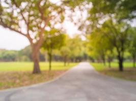 verschwommenes Bild natürlichen grünen Park Hintergrundbild foto