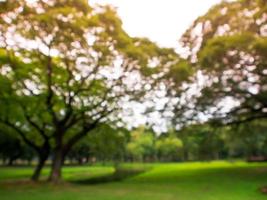 verschwommenes Bild natürlichen grünen Park Hintergrundbild foto