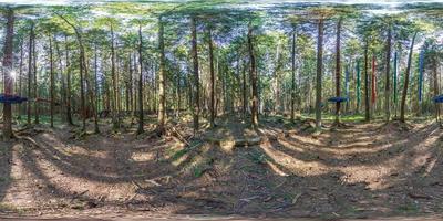 volles sphärisches hdri 360-Panorama im Kiefernwald in equirectangularer Projektion. vr ar-Inhalt foto