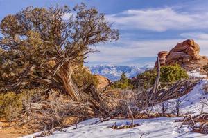 Panoramabild der natürlichen und geologischen Wunder des Arches-Nationalparks in Utah im Winter foto