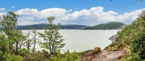 Panoramabild über Lago Grey mit Eisbergen im Nationalpark Torres del Paine in Patagonien im Sommer foto