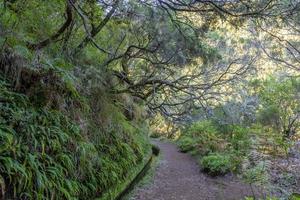 Bild des Wanderwegs zur Levada von 25 Fontes auf der zentralen Insel Madeira im Sommer foto