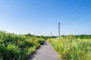 schöne leere Asphaltstraße in der Landschaft auf farbigem Hintergrund foto