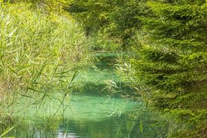 bild des hübschen weissensees in österreich im sommer foto