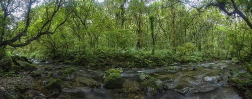 Panoramabild mit Langzeitbelichtung eines Flusses, der tagsüber durch einen Regenwald auf der Insel Taiwan fließt foto