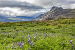 bild der wilden und menschenleeren natur in ostisland foto