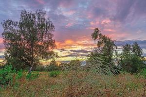 Bild der Obstwiese mit bunten Blumen während des bunten Abendrots foto