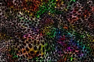 abstrakter Hintergrund, buntes geometrisches Oberflächendesign, holografischer Texturhintergrund, mehrfarbige Gradiententextur, abstrakter flüssiger Hintergrund aus Marmor, mehrfarbige glänzende flüssige Textur foto