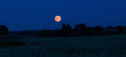 Seenlandschaften Lettlands im Sommer foto