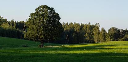 Lettische Sommerlandschaften foto