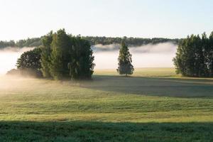 Lettische Sommerlandschaften foto