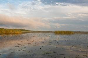 Seenlandschaften Lettlands im Sommer foto