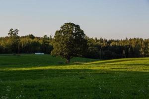 Lettische Sommerlandschaften foto