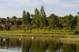 Sommerlandschaften von der Insel mmuhu foto