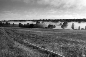 Seenlandschaften Lettlands im Sommer foto