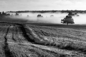 Landschaften Lettlands im Sommer foto