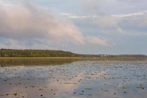 Seenlandschaften Lettlands im Sommer foto