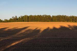 Lettische Sommerlandschaften foto