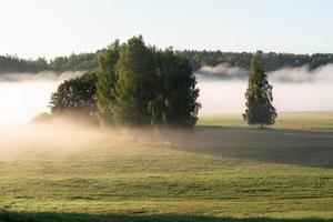 Lettische Sommerlandschaften foto