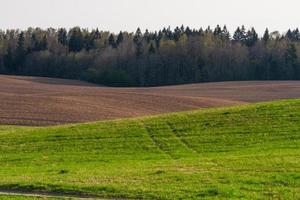 lettische frühlingslandschaften foto