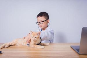 asiatischer männlicher arzt, der eine katze untersucht foto