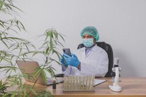 Cannabisforscher führen wissenschaftliche Experimente durch. foto