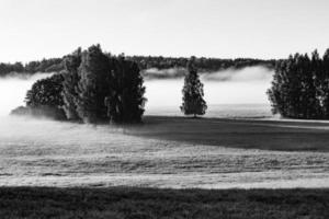 Landschaften Lettlands im Sommer foto