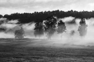 Landschaften Lettlands im Sommer foto