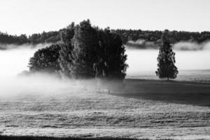 Landschaften Lettlands im Sommer foto