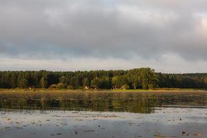 Seenlandschaften Lettlands im Sommer foto