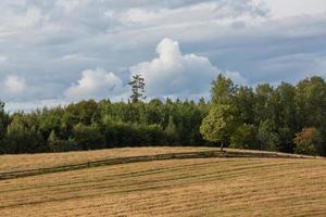 Sommerlandschaften in Lettland foto