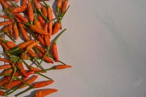 frische rote Chilis, die die Bauern gerade geerntet haben. dunkelweißer Hintergrund. foto