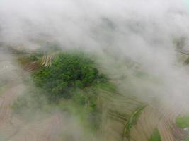 schöne morgendliche ansicht von indonesien. Luftbild von grünen Reisfeldern und Wäldern bei Nebel