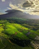 schöne morgendliche ansicht von indonesien. Panoramablick auf Reisfelder und Berge, wenn Reis grün ist