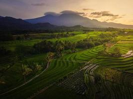 luftaufnahme von asien in indonesischen reisfeldern mit bergen bei sonnenaufgang foto