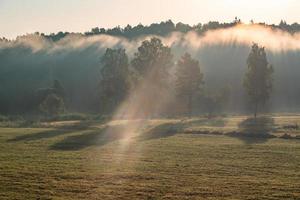 Lettische Sommerlandschaften foto