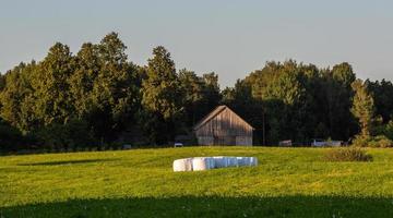 Lettische Sommerlandschaften foto