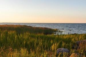 Sommerlandschaften von der Insel mmuhu foto