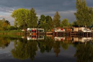 Seenlandschaften Lettlands im Sommer foto