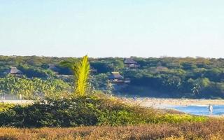 natur klippen felsen wiese strand wellen palme in zicatela mexico. foto