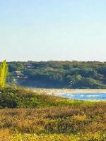 natur klippen felsen wiese strand wellen palme in zicatela mexico. foto