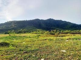 Tagsüber schöne Naturkulisse foto