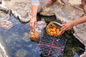 ernte von touristen, die einen korb mit eiern in mineralisches und natürliches heißes wasser im chae son national park, lampang, thailand, legen und darin kochen. foto