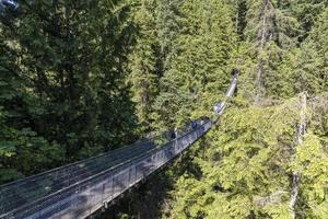 Capilano-Hängebrücke foto